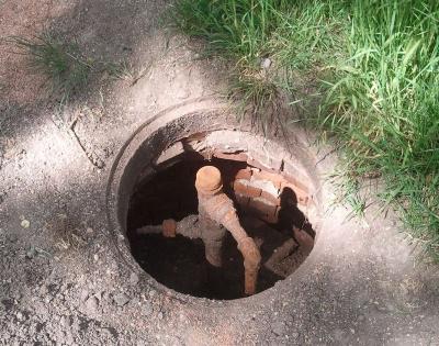 Прикрепленное изображение: шевч3.jpg